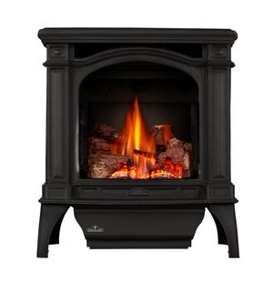 Napoleon: Bayfield GDS25 (Metallic Black)